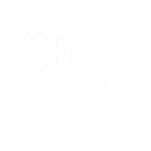 Kupe